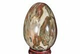 Colorful, Polished Petrified Wood Egg - Madagascar #172518-1